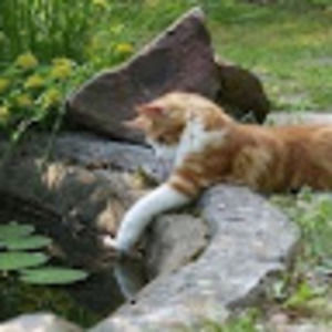 Meet your Posher, Alyna